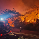 Colombia combate 17 incendios forestales activos; Tolima, la más afectada