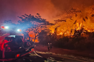 Colombia combate 17 incendios forestales activos; Tolima, la más afectada