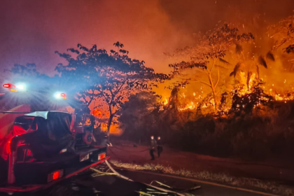 Colombia combate 17 incendios forestales activos; Tolima, la más afectada