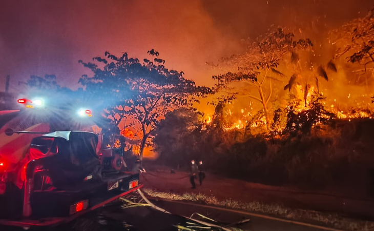 Colombia combate 17 incendios forestales activos; Tolima, la más afectada
